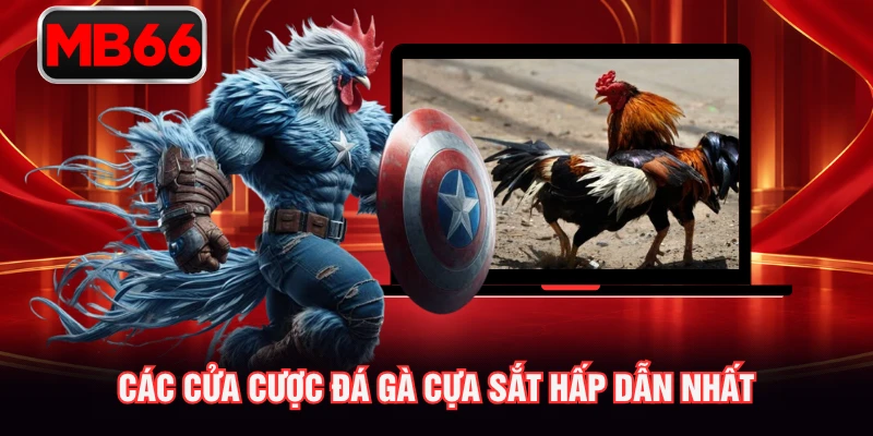 Các cửa cược đá gà cựa sắt hấp dẫn nhất