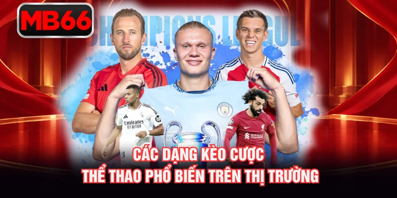 Các dạng kèo cược thể thao phổ biến trên thị trường